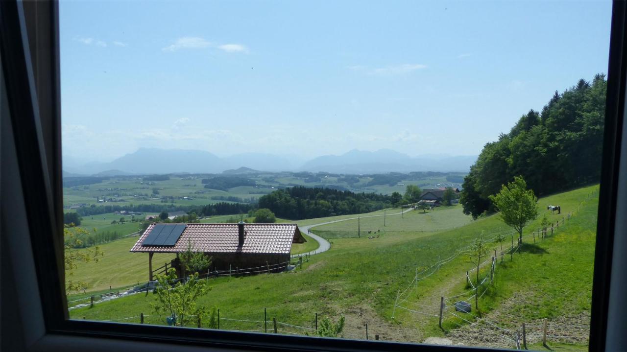 Ferienwohnung Steger Mattsee Extérieur photo